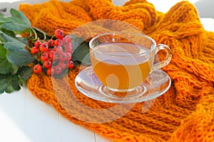 Green tea in a transparent cup and saucer on a white wooden background