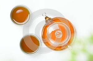 Green tea in a transparent teapot and small cups on a white table against the background of a green plant. Useful