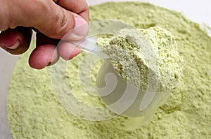 Green Tea Whey Protein