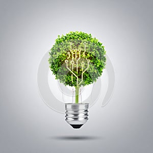 Green Tech Innovation Tree Circuit in a Lightbulb
