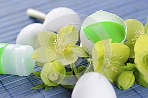 Green tempera paint tube and hellebore and egg shells in a Easter decoration