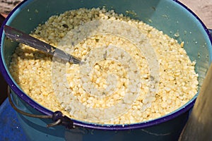 Corn kernels in a blue pot, known as Esquites photo