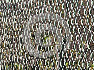 Green tennis net in detail