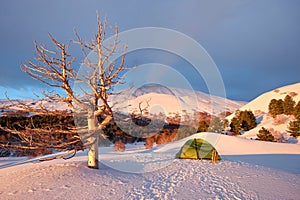 Morning Light On Winter Etna Park, Sicily photo