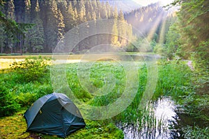 Green tent near forest lake