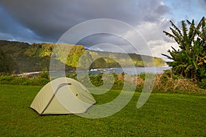 Green Tent Pitched in Lush Maui Coastline