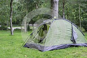 Green tent pitched near tree