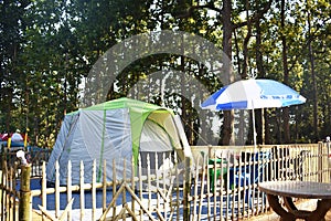 Green tent in a resort between a forest with green trees in the surroundings