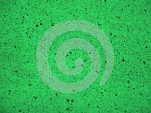 Green terra-cotta background