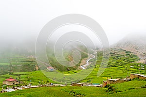 Green terraced fields in Nar village, Annapurna Area, Nepal photo