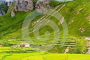 Green terraced fields and traditional architecture