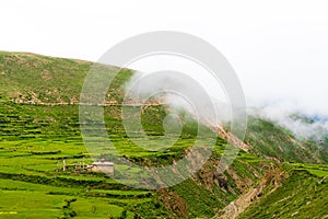 Green terraced fields and traditional architecture