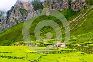 Green terraced fields and traditional architecture