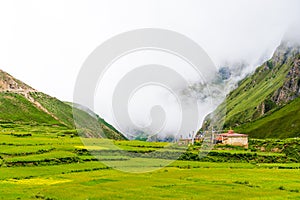 Green terraced fields and traditional architecture