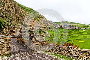 Green terraced fields and traditional architecture