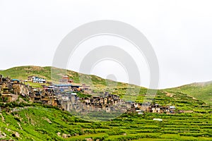Green terraced fields and traditional architecture