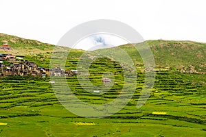 Green terraced fields and traditional architecture