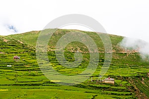 Green terraced fields and traditional architecture