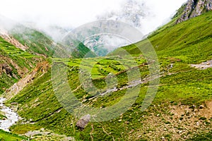 Green terraced fields and traditional architecture