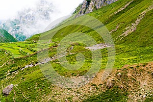 Green terraced fields and traditional architecture