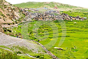 Green terraced fields and traditional architecture