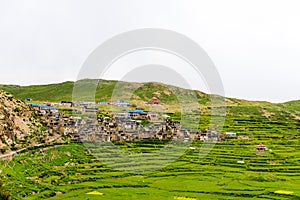 Green terraced fields and traditional architecture