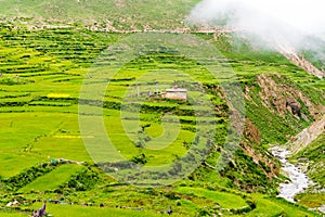 Green terraced fields and traditional architecture