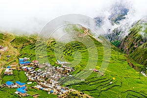 Green terraced fields and traditional architecture in the ancient Tibetan Nar village