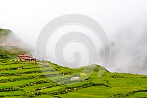 Green terraced fields and traditional architecture in the ancient Tibetan Nar village photo
