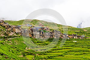 Green terraced fields and traditional architecture in Nar village, Annapurna Conservation Area, Nepal