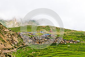 Green terraced fields and traditional architecture in Nar village, Annapurna Conservation Area, Nepal