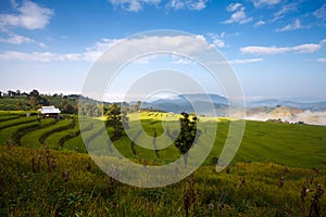 Green Terraced Rice Field at Ban Pa Bong Peay in Chiangmai