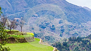 green terraced rice paddy in Dazhai village