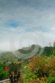 Green terraces with flowers in the foreground in the city of Majalengka, Indonesia