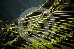 Green Terraces of the Incan Empire Under the Sun