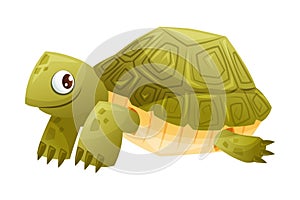 Green Terrestrial Turtle with Shell as Home Pet Animal Vector Illustration