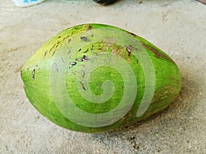 Green testy coconut fruit full of water