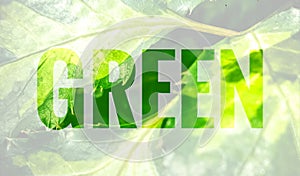 Green text