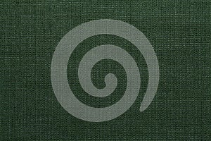 Green textile texture