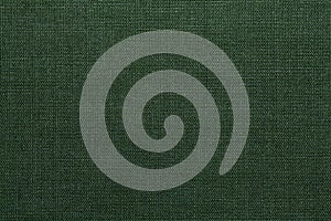 Green textile texture