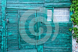 Green texture of a wooden door with a window