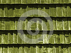 Green texture of wooden tile roof. Shingle aged wooden Background. Backdrop with small overlapping colored wooden shingles on roof