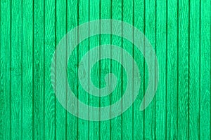 Green textured background of vertical wooden slats.