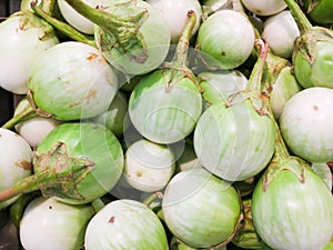 Green Thai egg plant is a green round shape eggplant