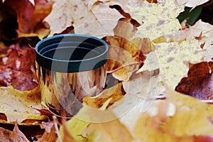 Green thermos stailess steel cup in autumn leaves photo