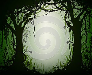 Green thicket rain-forest, deep fairy forest silhouette,