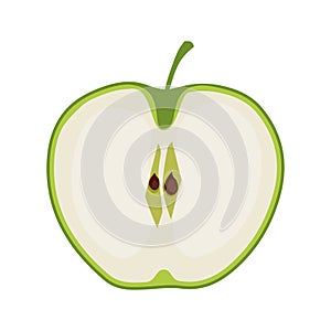 Green thin slice of apple. Isolated vector sliced fruit in flat style. Summer clipart for design