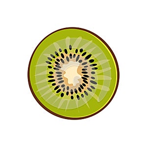 Green thin slice of kiwi. Isolated vector sliced fruit in flat style. Summer clipart for design
