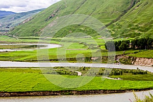 Green Tibet landscape on sunny day with color filter