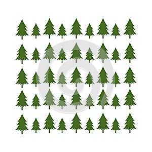 Green timberland pine tree branch christmas background illustration